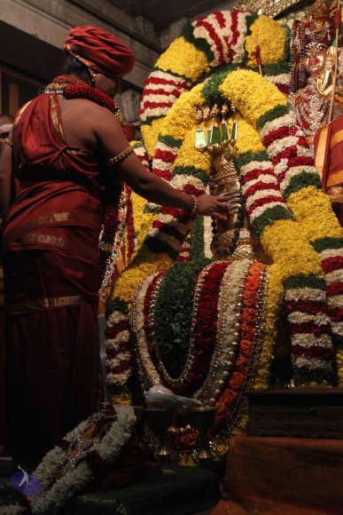 2015-July-31-_Photo_1039_IMG_2953a_CMP_WM