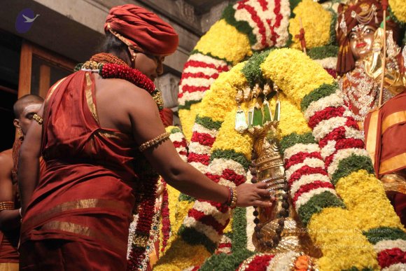 2015-July-31-_Photo_1040_IMG_2954_CMP_WM-1