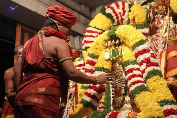 2015-July-31-_Photo_1043_IMG_2955_CMP_WM-2