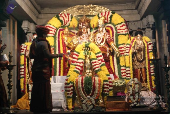 2015-July-31-_Photo_1044_IMG_2956_CMP_WM-1