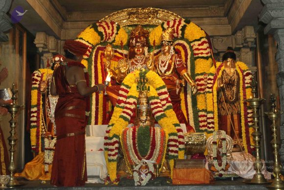 2015-July-31-_Photo_1046_IMG_2957_CMP_WM