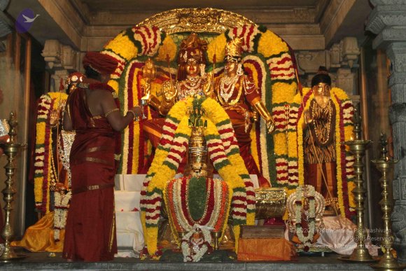 2015-July-31-_Photo_1047_IMG_2958_CMP_WM