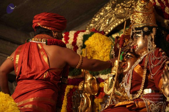 2015-July-31-_Photo_1048_IMG_2959_CMP_WM