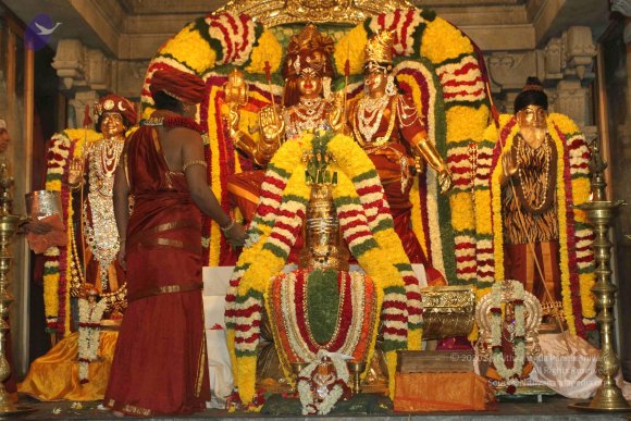 2015-July-31-_Photo_1049_IMG_2959a_CMP_WM