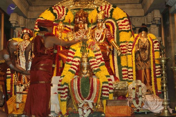 2015-July-31-_Photo_1050_IMG_2960_CMP_WM