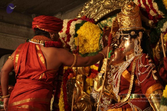 2015-July-31-_Photo_1051_IMG_2960a_CMP_WM