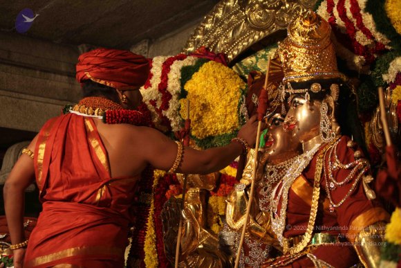 2015-July-31-_Photo_1052_IMG_2961_CMP_WM