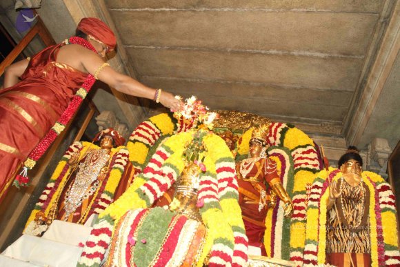 2015-July-31-_Photo_1053_IMG_2961a_CMP_WM