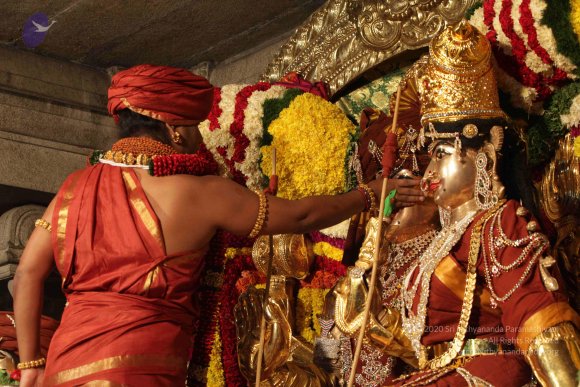 2015-July-31-_Photo_1054_IMG_2962_CMP_WM