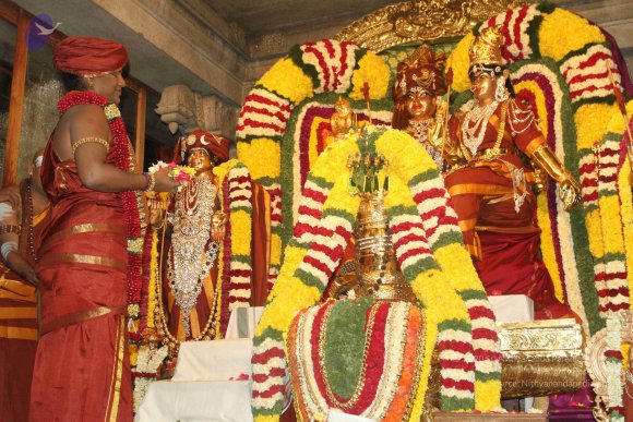 2015-July-31-_Photo_1055_IMG_2962a_CMP_WM