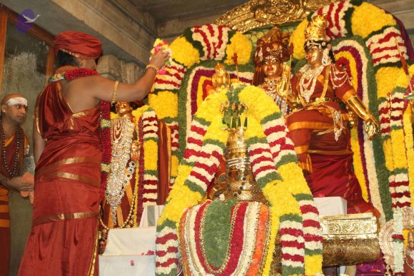 2015-July-31-_Photo_1056_IMG_2963_CMP_WM