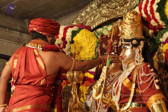 2015-July-31-_Photo_1057_IMG_2963a_CMP_WM