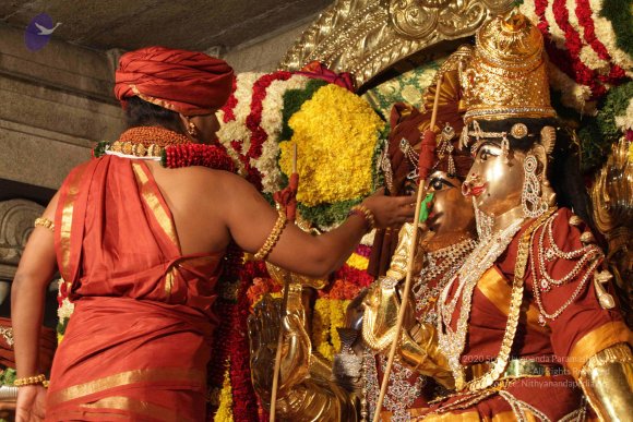 2015-July-31-_Photo_1059_IMG_2964a_CMP_WM