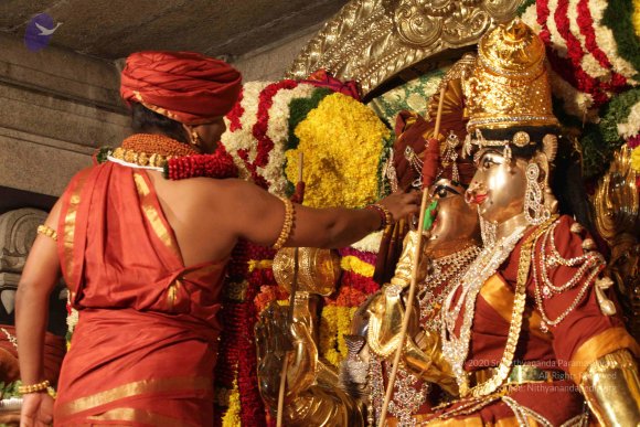 2015-July-31-_Photo_1061_IMG_2965a_CMP_WM