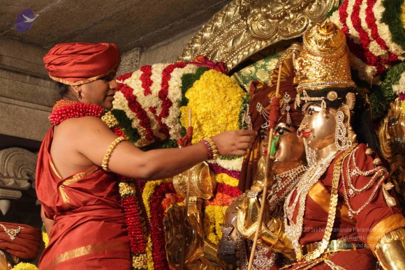 2015-July-31-_Photo_1062_IMG_2966_CMP_WM