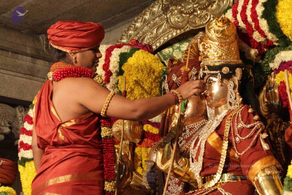 2015-July-31-_Photo_1064_IMG_2967_CMP_WM