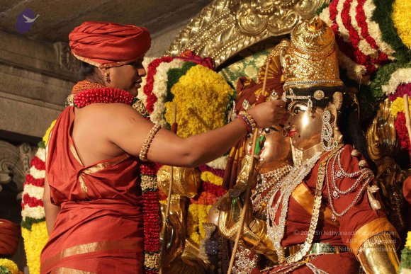 2015-July-31-_Photo_1067_IMG_2968a_CMP_WM