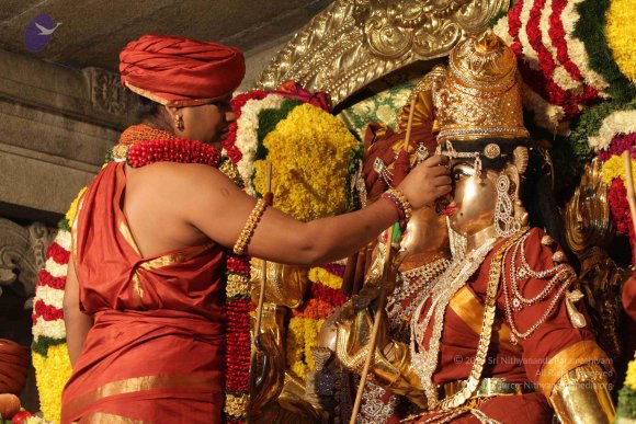 2015-July-31-_Photo_1068_IMG_2969_CMP_WM