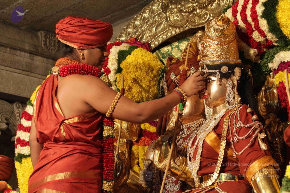 2015-July-31-_Photo_1070_IMG_2970_CMP_WM