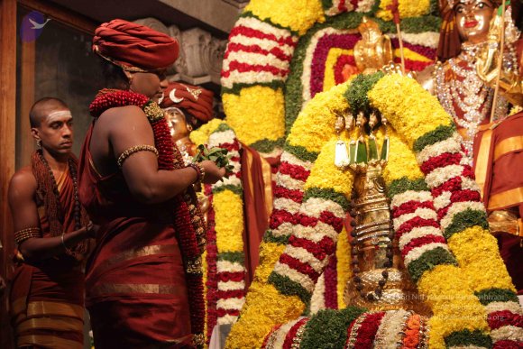 2015-July-31-_Photo_1072_IMG_2971_CMP_WM