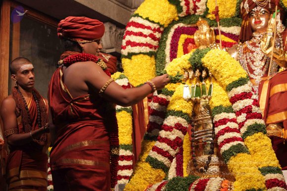 2015-July-31-_Photo_1074_IMG_2972_CMP_WM