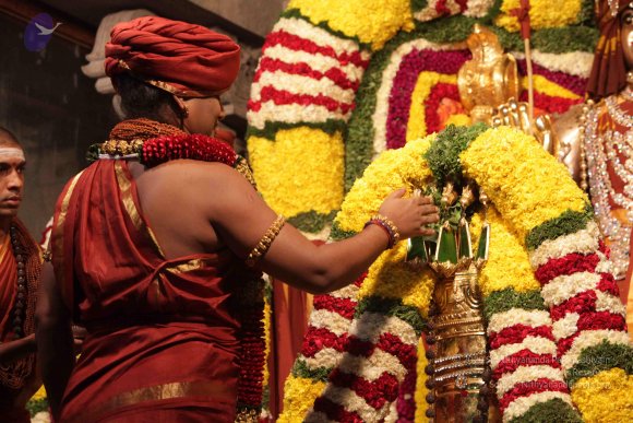 2015-July-31-_Photo_1079_IMG_2974a_CMP_WM