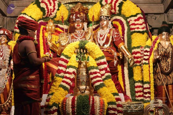 2015-July-31-_Photo_1080_IMG_2975_CMP_WM