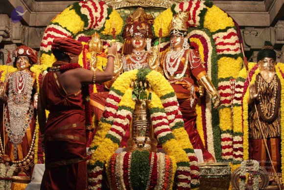 2015-July-31-_Photo_1082_IMG_2976_CMP_WM