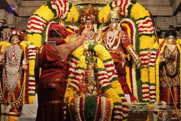 2015-July-31-_Photo_1084_IMG_2977_CMP_WM