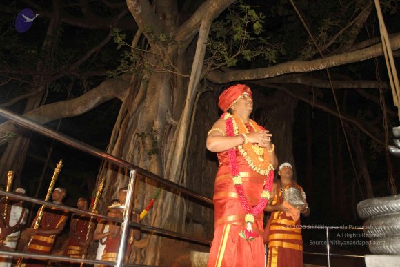 2015-July-31-_Photo_1086_IMG_2978_CMP_WM