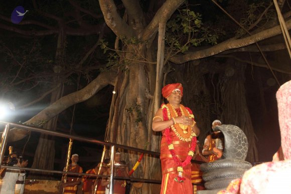 2015-July-31-_Photo_1088_IMG_2979_CMP_WM