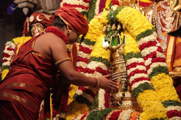 2015-July-31-_Photo_1089_IMG_2979a_CMP_WM