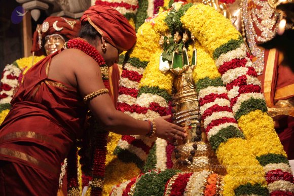 2015-July-31-_Photo_1090_IMG_2980_CMP_WM