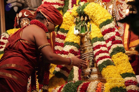 2015-July-31-_Photo_1093_IMG_2981a_CMP_WM