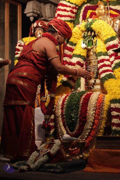 2015-July-31-_Photo_1094_IMG_2982_CMP_WM