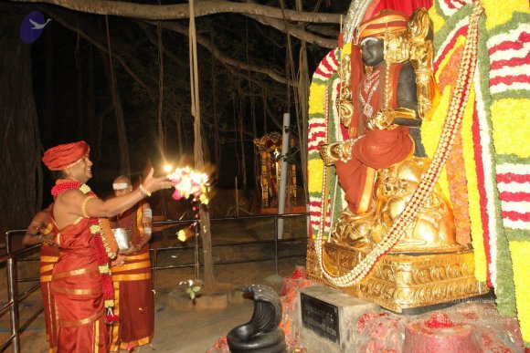 2015-July-31-_Photo_1098_IMG_2984_CMP_WM