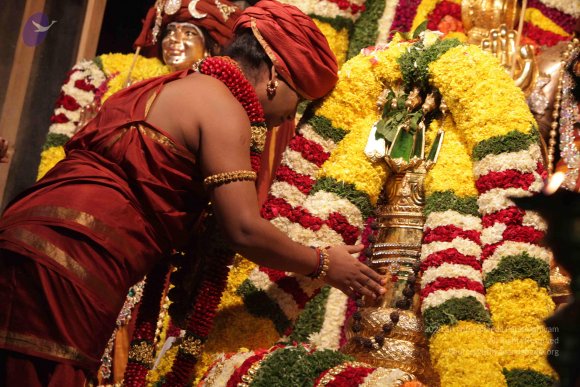 2015-July-31-_Photo_1099_IMG_2984a_CMP_WM