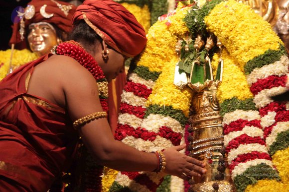 2015-July-31-_Photo_1100_IMG_2985_CMP_WM