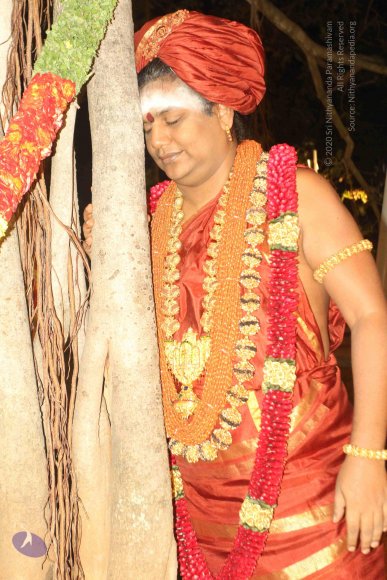 2015-July-31-_Photo_1102_IMG_2986_CMP_WM