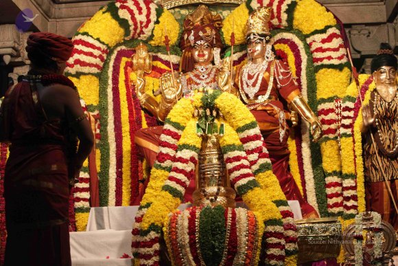 2015-July-31-_Photo_1104_IMG_2987_CMP_WM