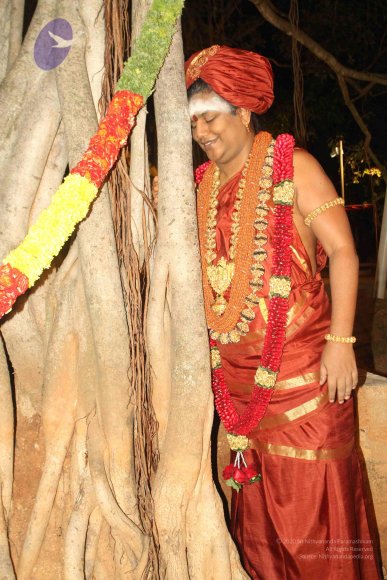 2015-July-31-_Photo_1105_IMG_2987a_CMP_WM