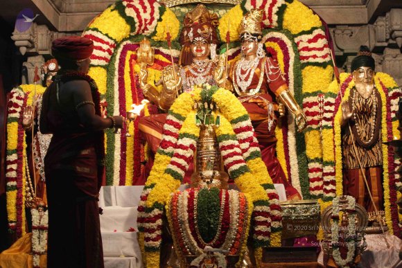 2015-July-31-_Photo_1106_IMG_2988_CMP_WM