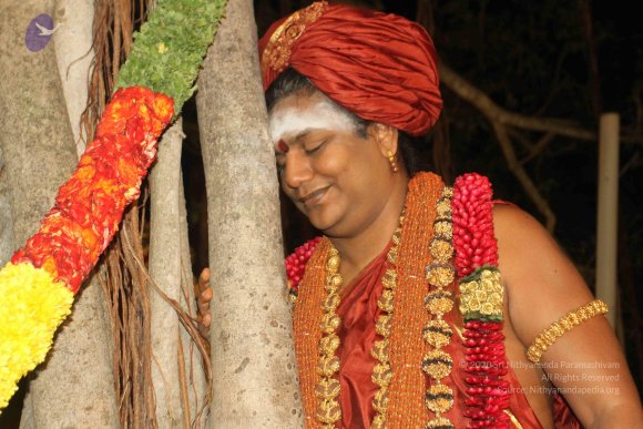 2015-July-31-_Photo_1107_IMG_2988a_CMP_WM