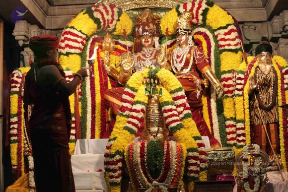 2015-July-31-_Photo_1108_IMG_2989_CMP_WM