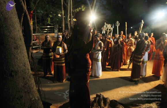 2015-July-31-_Photo_1109_IMG_2989a_CMP_WM