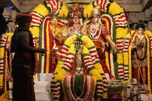 2015-July-31-_Photo_1111_IMG_2990a_CMP_WM