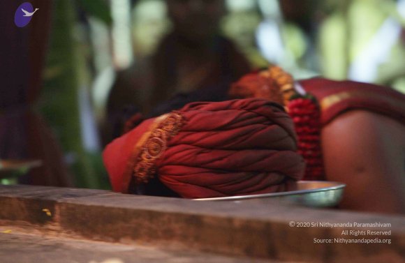 2015-July-31-_Photo_1116_IMG_2993_CMP_WM