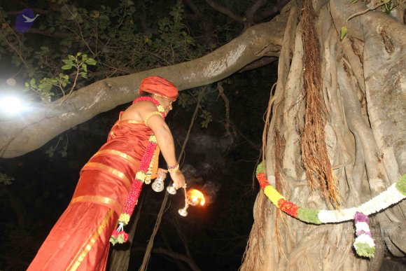 2015-July-31-_Photo_1117_IMG_2994_CMP_WM