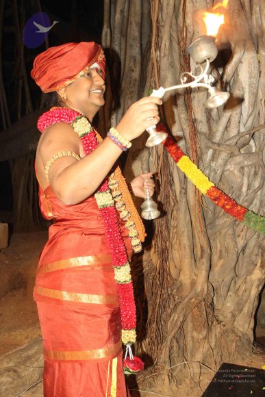 2015-July-31-_Photo_1121_IMG_2996a_CMP_WM