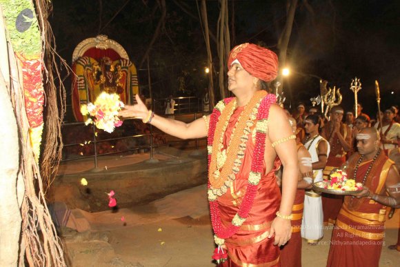 2015-July-31-_Photo_1127_IMG_2999a_CMP_WM